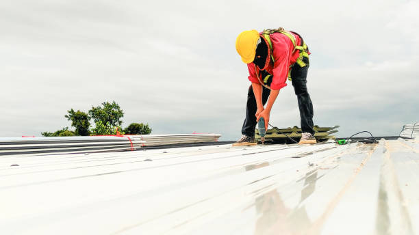 Best Solar Panel Roofing Installation  in Ragland, AL