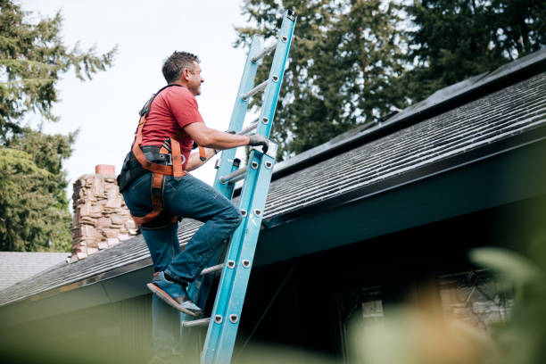 Best Roof Coating and Sealing  in Ragland, AL