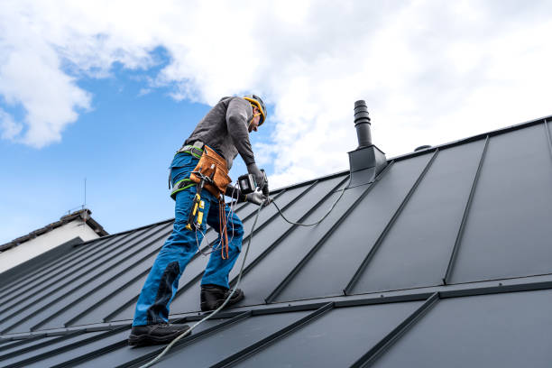 Best Sheet Metal Roofing  in Ragland, AL
